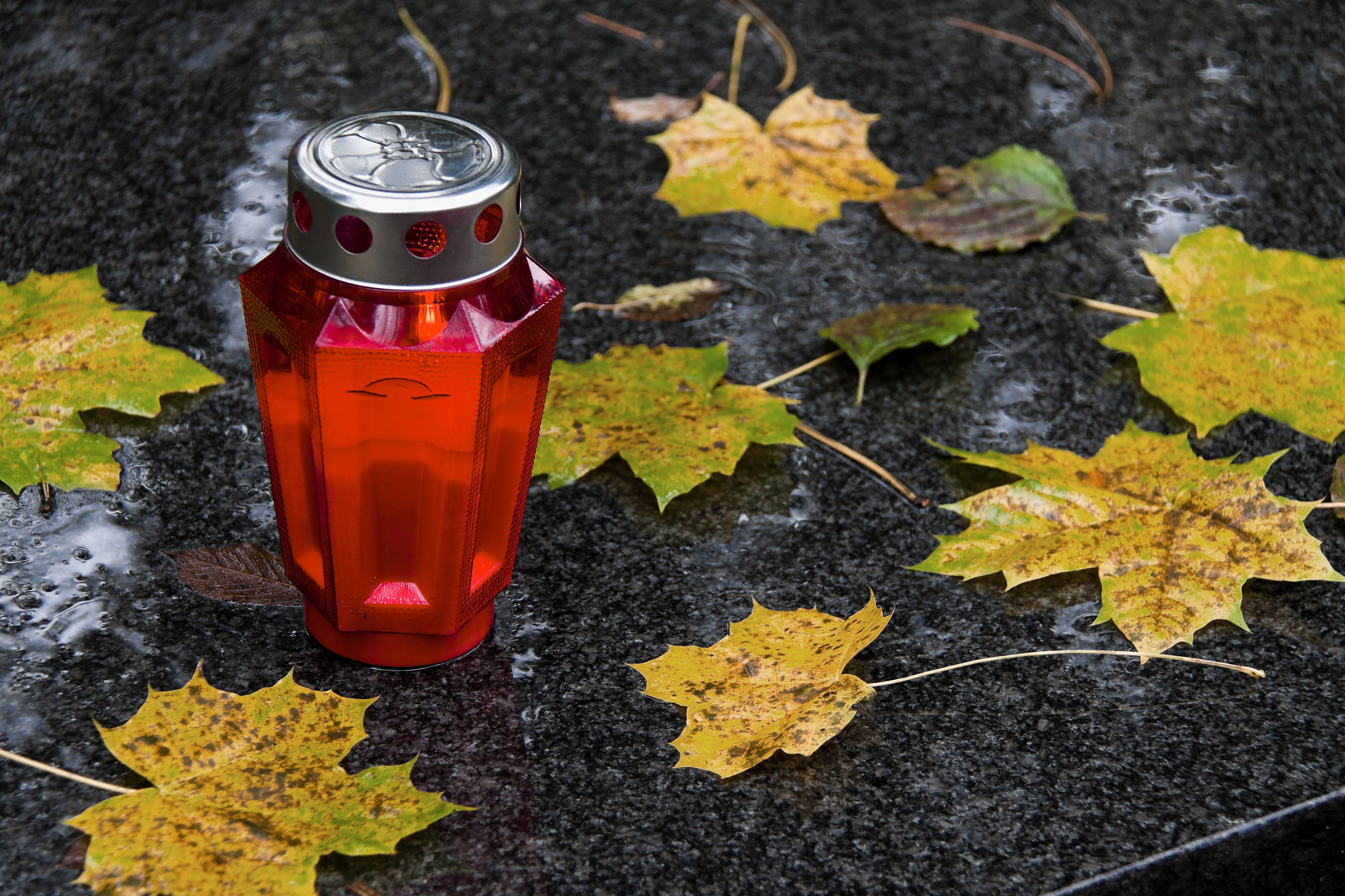 Ein Grablicht zu Allerheiligen im Herbst mit Bl?ttern